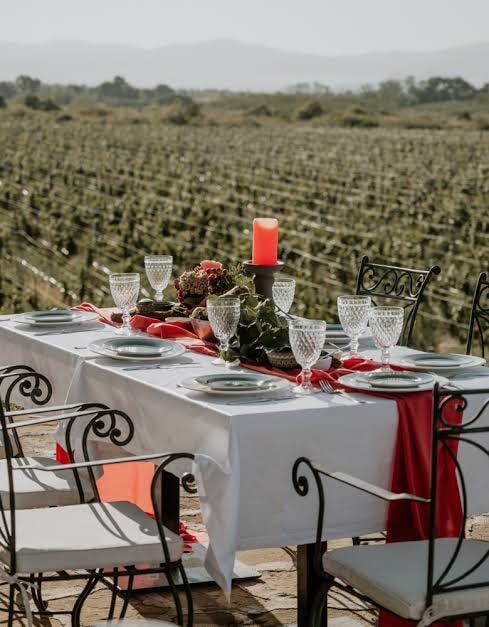 Outdoor dining in the Chateau Copsa vineyards